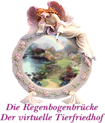 Regenbogenbrücke